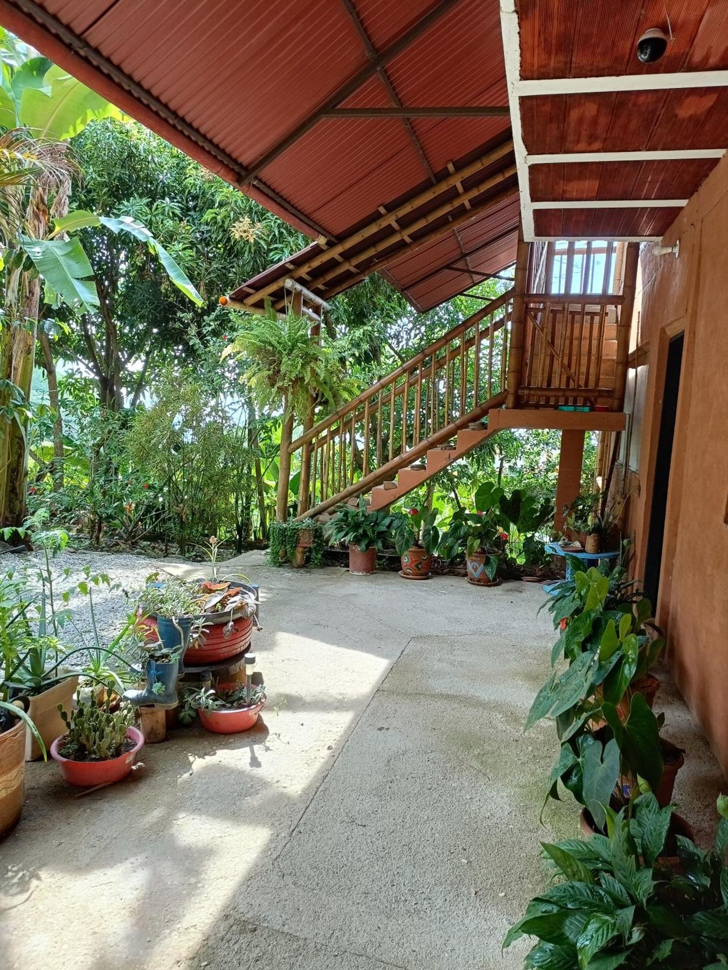 El Eden Minca Villa Exteriör bild