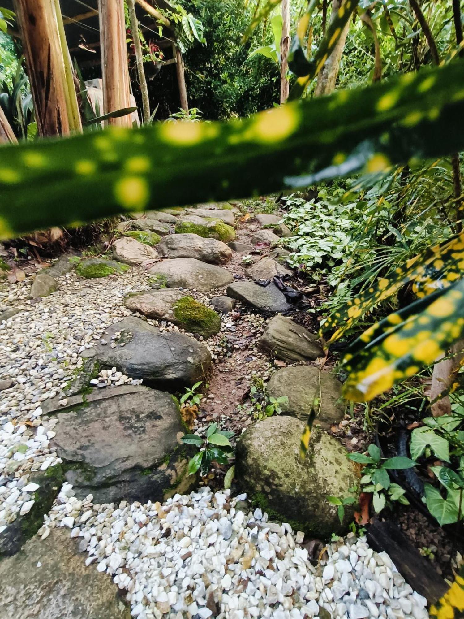 El Eden Minca Villa Exteriör bild