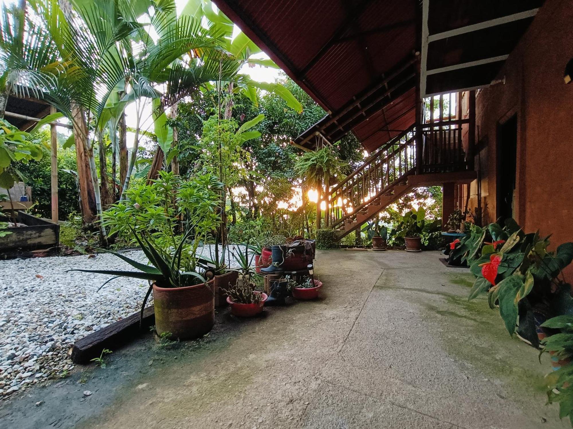 El Eden Minca Villa Exteriör bild
