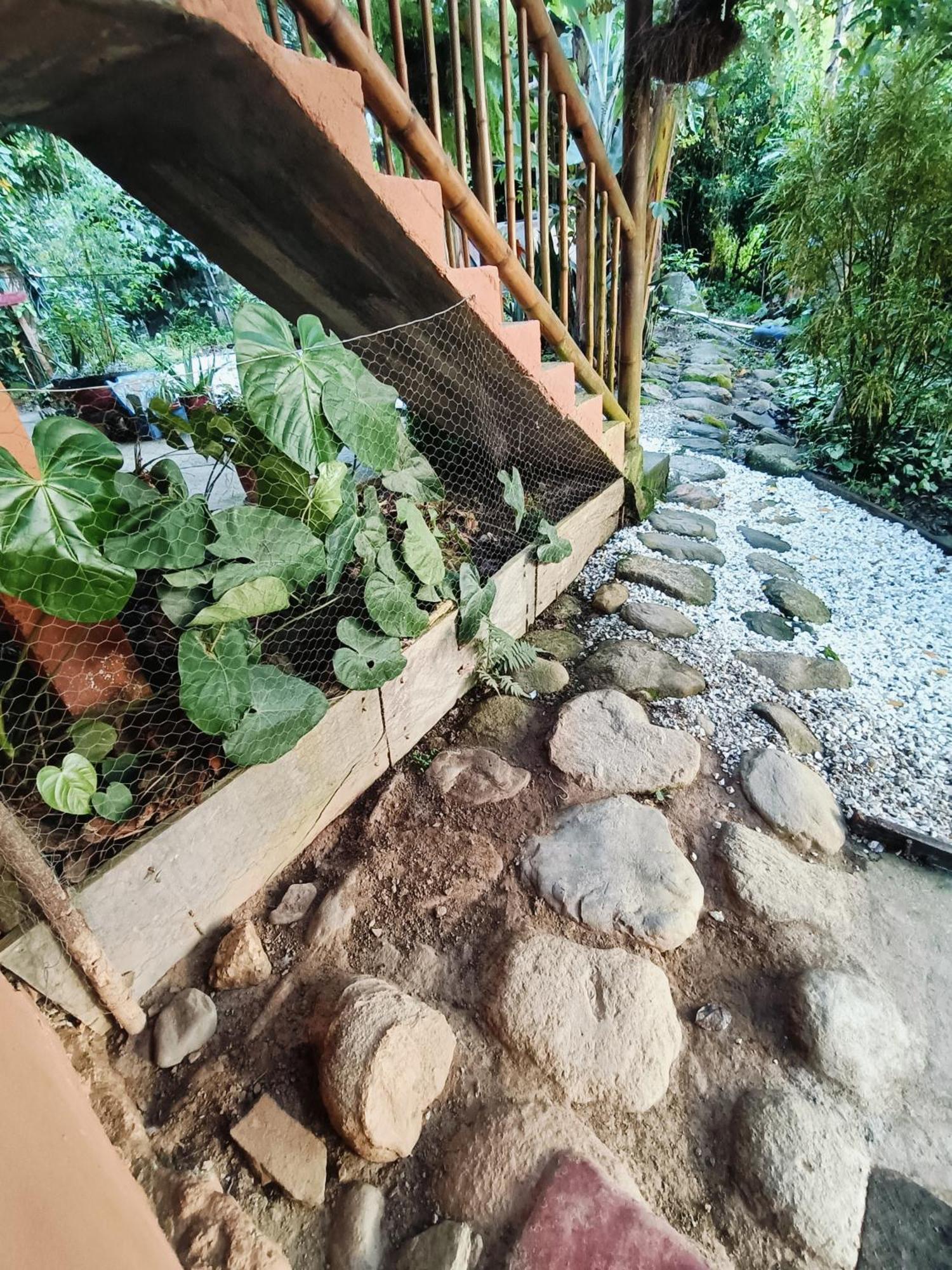 El Eden Minca Villa Exteriör bild