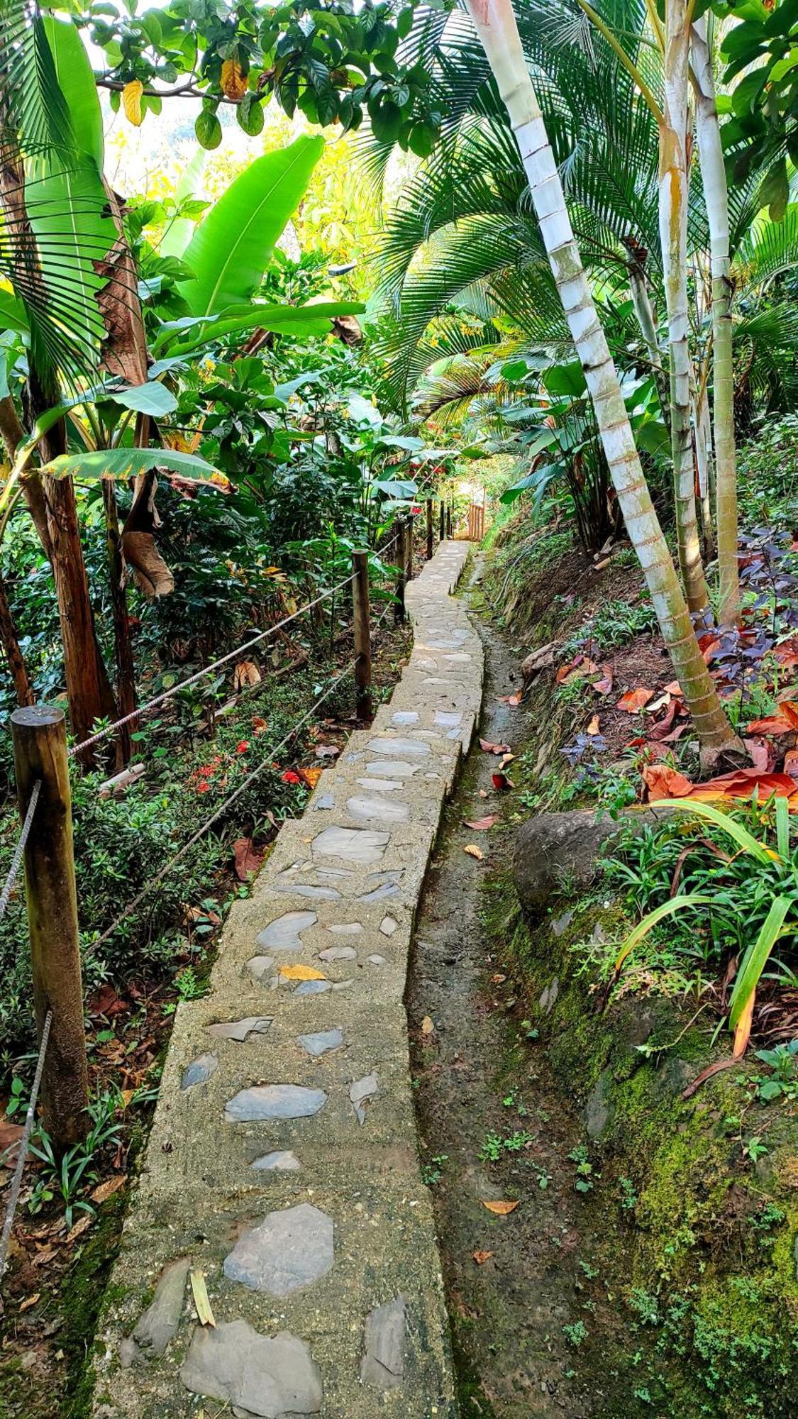 El Eden Minca Villa Exteriör bild